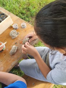 atelier nature écovie