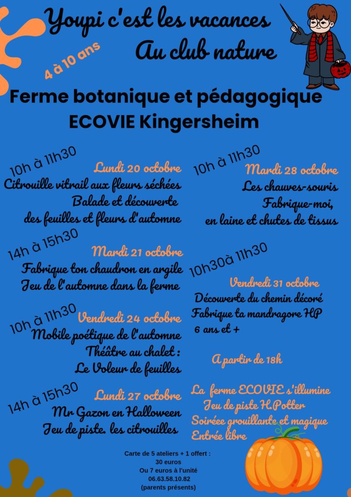 ateliers ecovie vacances