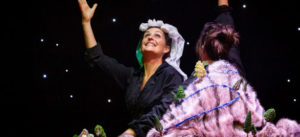 Spectacle Kosmos Momix