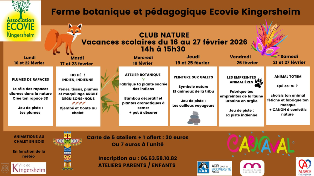 Programme ateliers Ecovie