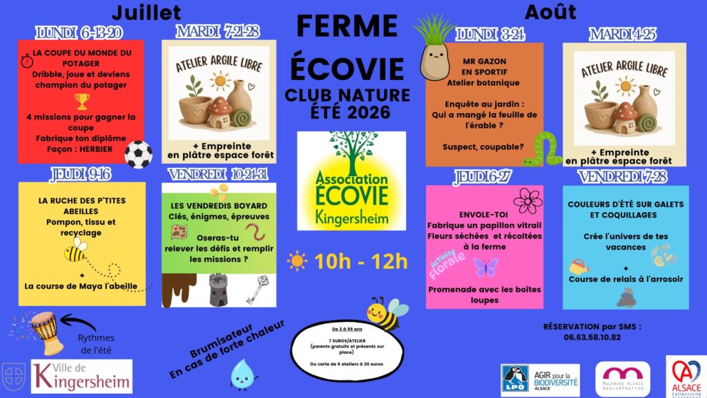 Programme activités été ferme Ecovie Kingersheim