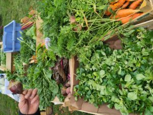 Permaculture